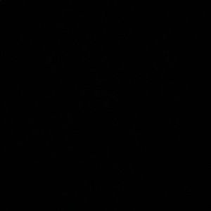 Meet your Posher, Claudio